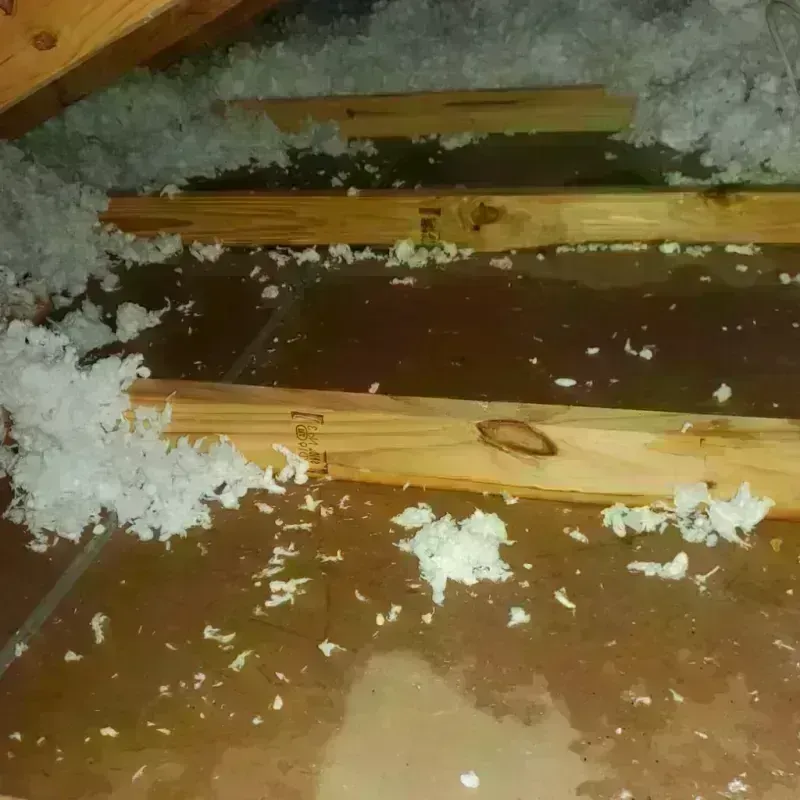 Attic Water Damage in Smithville, TN